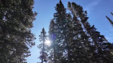 Kanada kayalık dağlarında düşmek