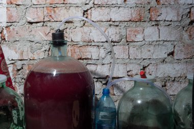 Şarabın mayalanması ve soğutulması süreci. Evde şarap yapma aşamaları.