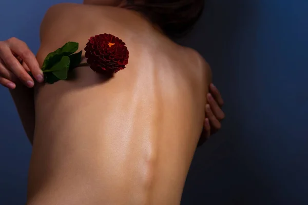 Niña Pie Con Espalda Sosteniendo Una Flor Roja Columna Vertebral —  Fotos de Stock