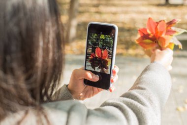 İki güzel Hintli kız kardeş bir bankta oturuyor, sonbaharda güzel bir akçaağaç yaprağının akıllı telefondaki fotoğraflarını çekiyorlar. Gülümseyen kızlar. Mutlu sonbaharlar. Hint görünüşlü genç kızlar