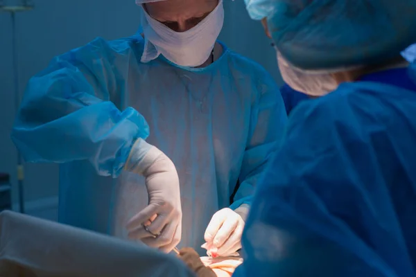 Chirurdzy Dziecięcy Wykonują Operacje Urologiczne Mężczyzna Kobieta Masce Niebieskim Sterylnym — Zdjęcie stockowe