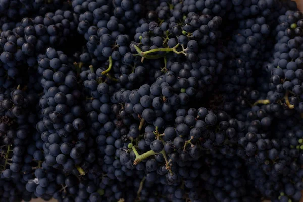 Close Monte Uvas Azuis Textura Composição Frutas Naturais — Fotografia de Stock