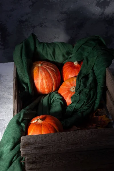 Autumn Still Life Red Pumpkins Lie Green Scarf Old Wooden — Stock Photo, Image