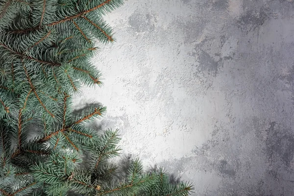 Noel Beyaz Gri Arka Planında Ladin Dallarının Dokusu Noel Konseptinin — Stok fotoğraf