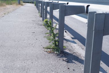 Yol engelleri olan virajlı bir yol..