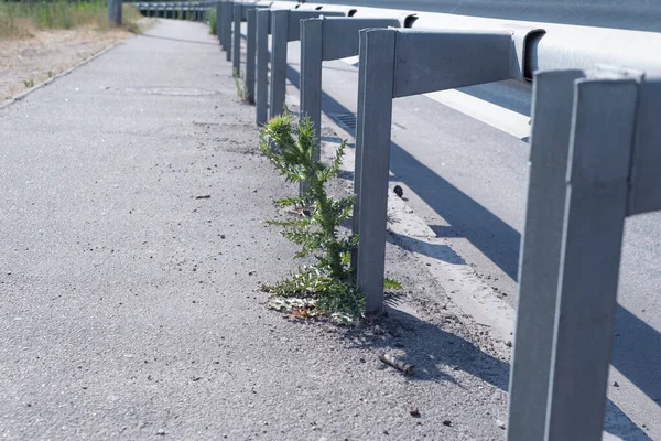 Yol engelleri olan virajlı bir yol..