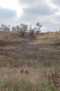 Sonbahar kırsal arazisi bulutlu gökyüzü ile, Kasım ayı.