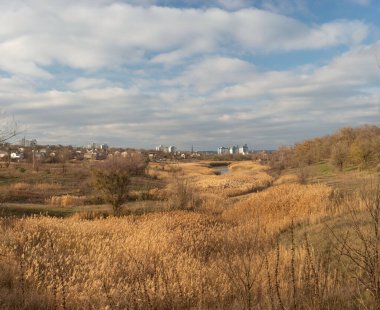 Kırsal alan, sazlıklar. Uzakta, Ukrayna 'nın çok katlı binalarının arka planında bulunan yerleşim yerindeki kır evleri..