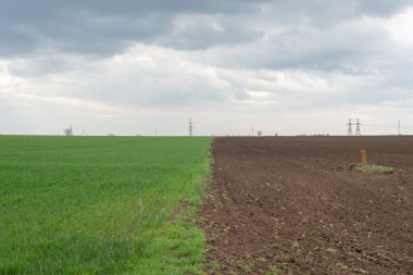 ... yarım yamalak tarlalar ve yeşil çimenler, bulutlu bir gökyüzünün arka planına karşı..