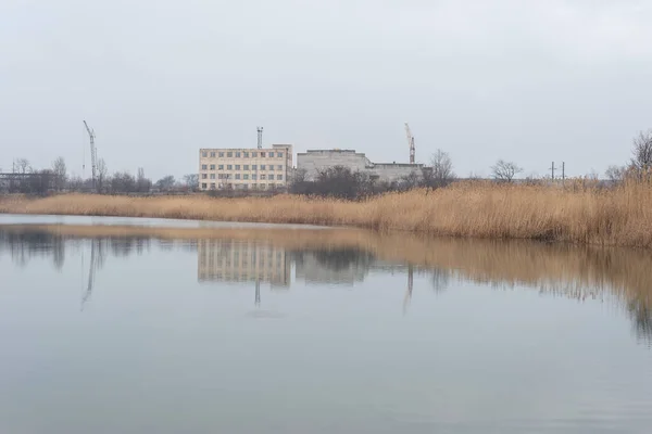 Paysage Lacustre Avec Réflexion Des Roseaux Sur Eau Calme Par — Photo