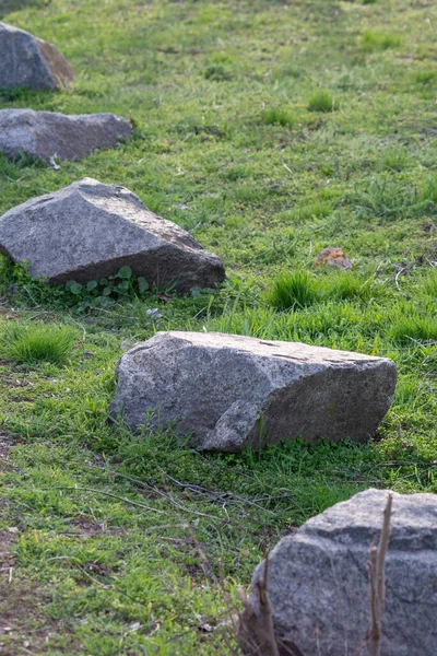 Nagy Kövek Zöld Füvön Háttér Másolás Tér Rugó — Stock Fotó