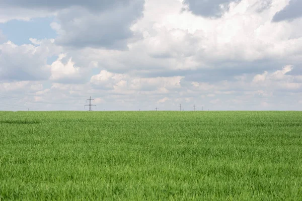 Słupy Wysokiego Napięcia Polu Zielonej Trawy Tle Zachmurzonego Błękitnego Nieba — Zdjęcie stockowe