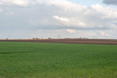 ... yarım yamalak tarlalar ve yeşil çimenler, bulutlu bir gökyüzünün arka planına karşı..