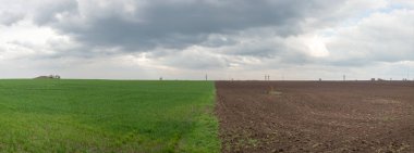 Bulutlu bir gökyüzünün arka planına karşı yarı yeşil çimenlik bir tarlanın panoramik fotoğrafı..
