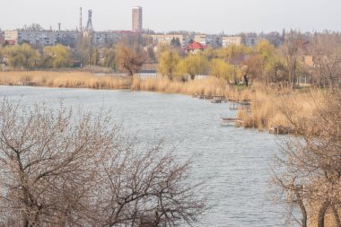 Gündüz şehir nehir manzarası Ağaçlar ve evler.
