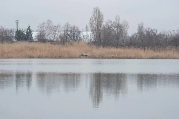 Paysage Lacustre Avec Réflexion Des Roseaux Sur Eau Calme Par — Photo