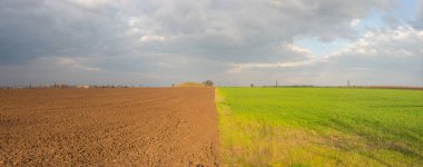 Bulutlu bir gökyüzünün arka planına karşı yarı yeşil çimenlik bir tarlanın panoramik fotoğrafı..