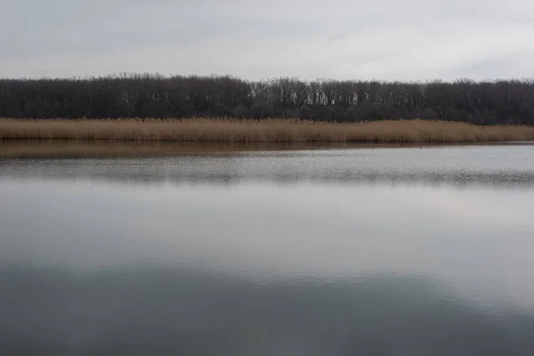 Paysage Spectaculaire Roseau Rivière Avec Reflet Ciel Nuageux Début Printemps — Photo