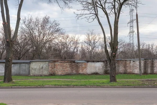 Дерево Фоне Старой Кирпичной Стены Облачное Небо — стоковое фото