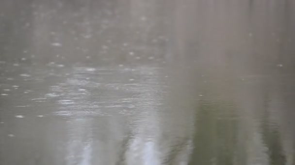 Gotas de lluvia en el agua de un río sucio sobre el fondo de los árboles a principios de primavera — Vídeos de Stock