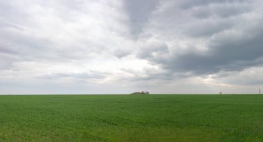 Yazın bulutlu gökyüzünün arka planına karşı yeşil çimen alanı minimalizmi manzarası.