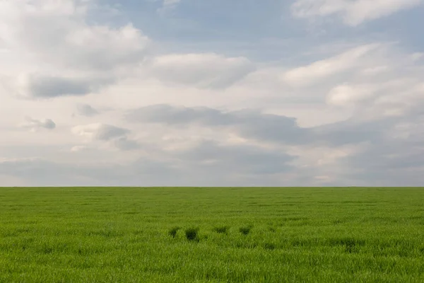 厚い雲と緑の草原の空 — ストック写真