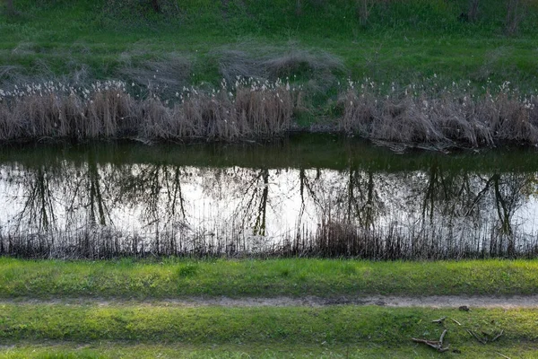 川の風景の中の木々の抽象的な反射は — ストック写真