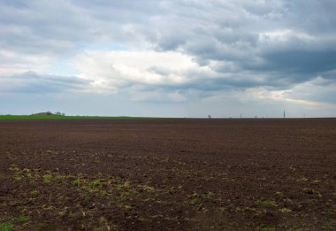 Manzara panormama bulutlu gökyüzünün arka planında tarla sürdü