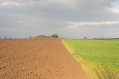 manzara iklim değişikliği. Tarlanın yarısı yeşil ve toprak kaplı, bulutlu bir gökyüzünün arka planına karşı.