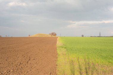 manzara iklim değişikliği. Tarlanın yarısı yeşil ve toprak kaplı, bulutlu bir gökyüzünün arka planına karşı.