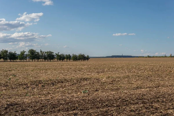 Bulutlu gökyüzü manzarası doğa ağaçlarıyla kaplı