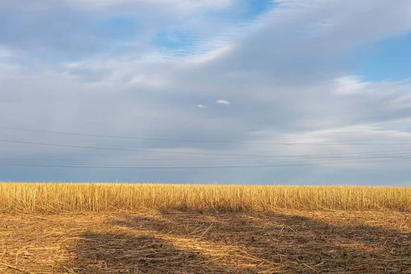 Autunno campagna paesaggio di campo dopo il raccolto contro nuvoloso cielo sfondo — Foto Stock