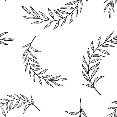Beyaz arka planda, farklı boyutlarda, kusursuz zeytin dalları. Davetiyeler, posterler, tekstil için narin zeytin filizi çizilmiş el kaplamasının siyah beyaz vektörü.