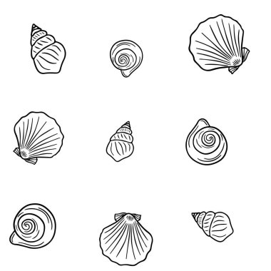Çeşitli deniz kabuklarından kusursuz vektör deseni. Beyaz arka plandaki siyah beyaz deniz kabuklarının arkaplanı. Tekstil, baskı, poster, menü için desen.