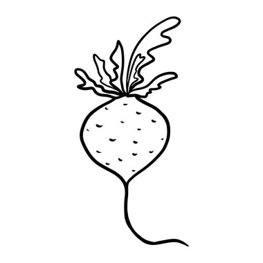  Beyaz arkaplanlı pancar kökü. Siyah ve beyaz vektör ana hatları pancar resmi. Yazdırma, boyama sayfaları, ambalaj kağıtları için izole edilmiş sebze.