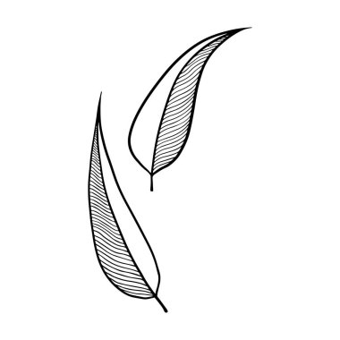 Beyaz arka planda iki soyut yaprak. Siyah ve beyaz vektör çizimi, yaprakların tasarım elementlerinden biri olarak tasvir edilir. Yazdırma, arkaplan, renklendirme için izole illüstrasyon.