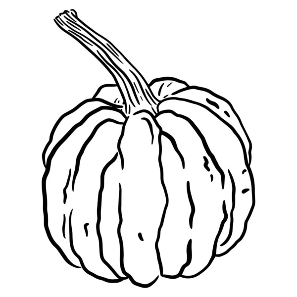 Ilustración Calabaza Blanco Negro Ilustración Vectorial Una Calabaza Con Tallo — Vector de stock