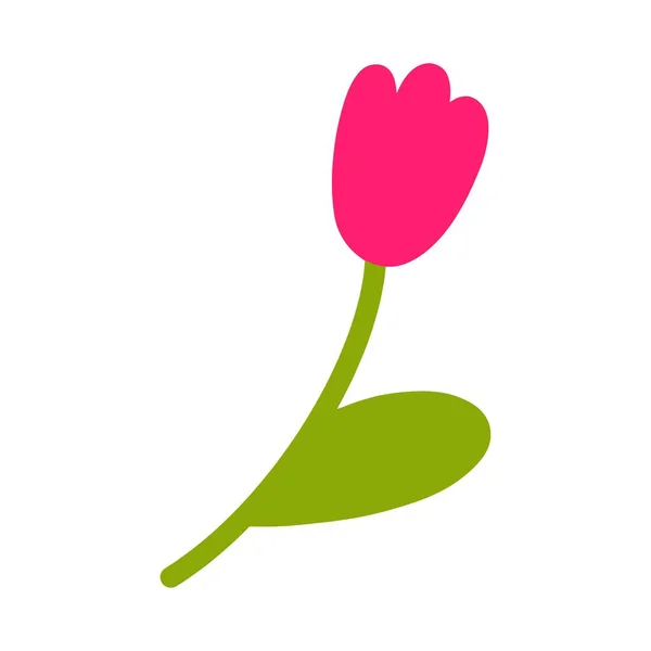 Vector Illustration Bright Pink Tulip White Background Cute Flower Stem — Stock Vector