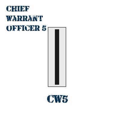 Realistic vector icon of the chevron of the Chief warrant officer 5 of the US Army. Description and abbreviated name. clipart