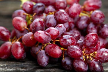 Su damlaları, kırmızı üzüm arka plan kapatın. Seçilen odak