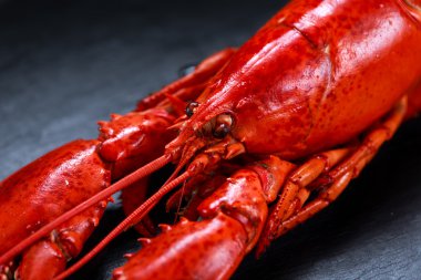 Taş zemin üzerine haşlanmış ıstakoz