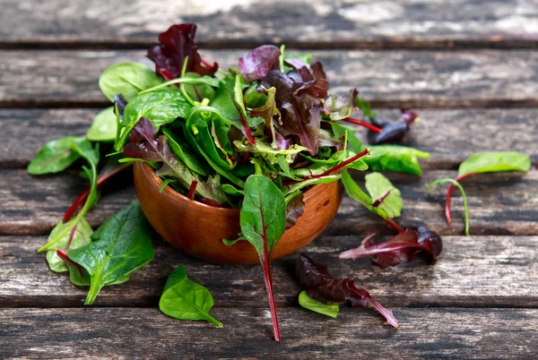 Taze yeşil salata karışımı — Stok fotoğraf