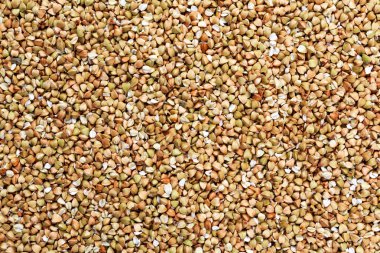 Taze yakın çekim buğday arka plan, doku. üstten görüntülemek.