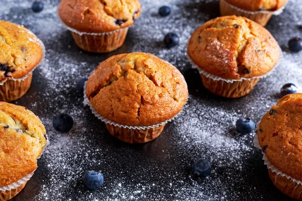 Homemade Blueberry Muffins with powdered sugar, fresh berries. Royalty Free Stock Images