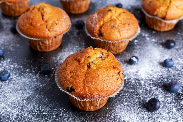 Σπιτικό Muffins Blueberry με ζάχαρη άχνη, φρέσκα μούρα. — Φωτογραφία Αρχείου