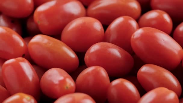 Plum Cherry Tomaten, rotierendes Video — Stockvideo