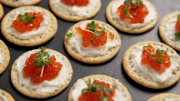 Salmon caviar and soft cheese savory crackers, party food. rotating video — Stock Video