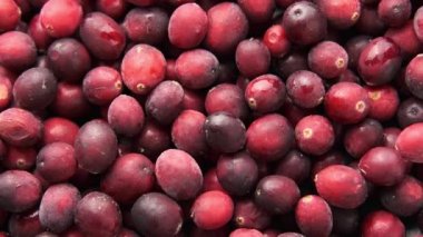 Taze organik kızılcık, meyve. Döndürme videosu