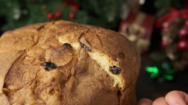 Noel için geleneksel Panettone hamur işleri. Kurumuş meyve ve bademlerle..