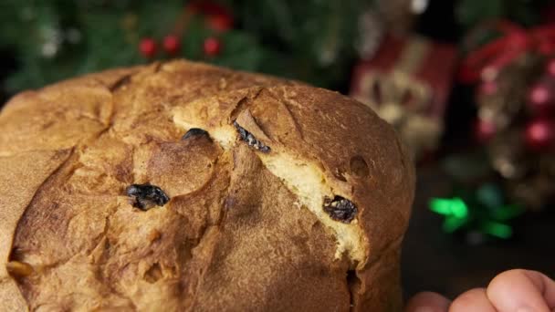 Panettone Doces tradicionais para o Natal com frutas secas e amêndoas. — Vídeo de Stock